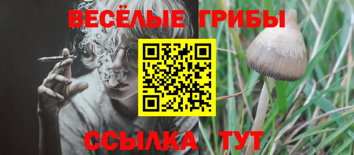 Галлюциногенные грибы Cubensis  Галлюциногенные грибы MAGIC MUSHROOMS  Вход с VPN  Лениногорск 