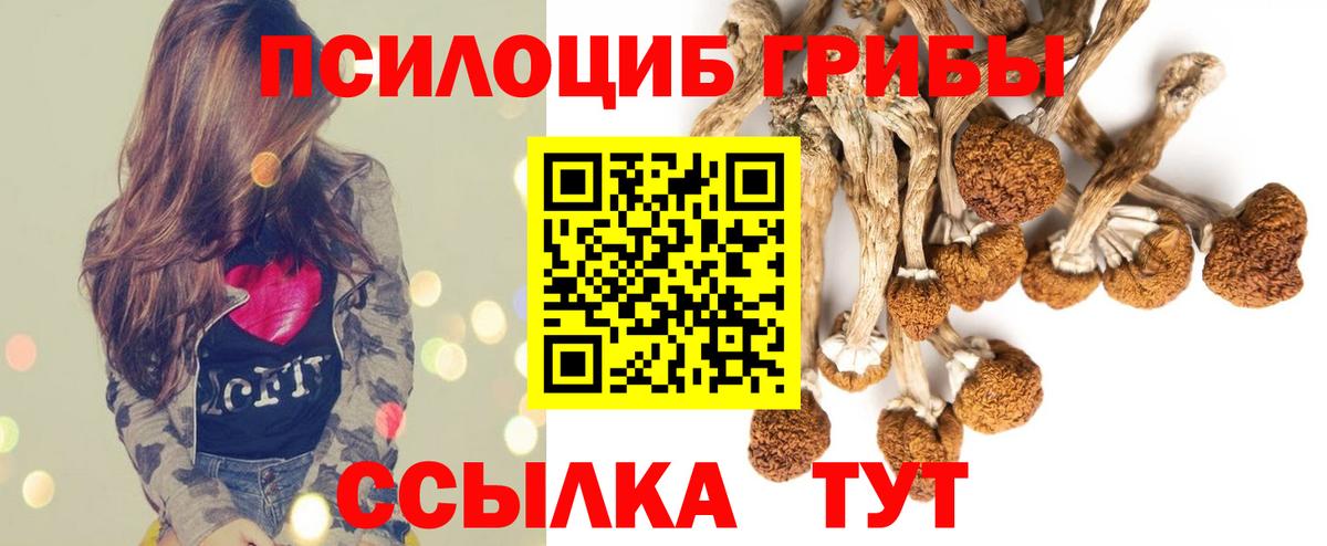 Псилоцибиновые грибы мухоморы Лениногорск